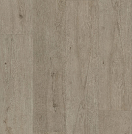 W3103 – Wonderwood