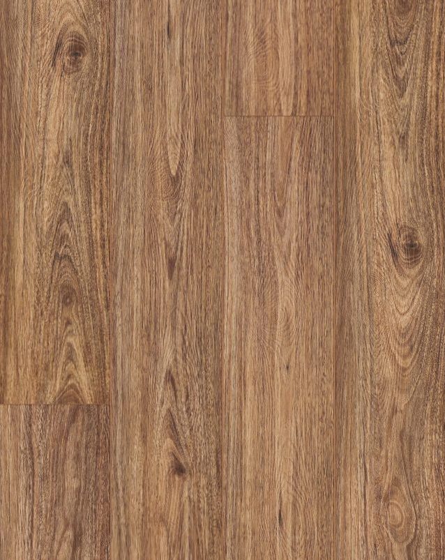 W3307 – Spotted Gum