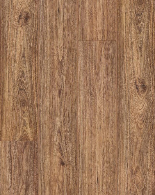 W3307 – Spotted Gum