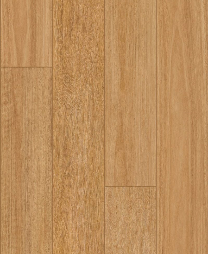 W3308 – Blackbutt