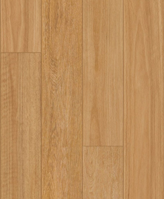W3308 – Blackbutt