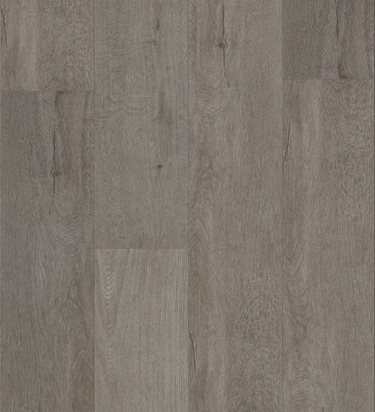 W3109 – Ellie Grey