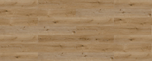 SFC-102 European Oak