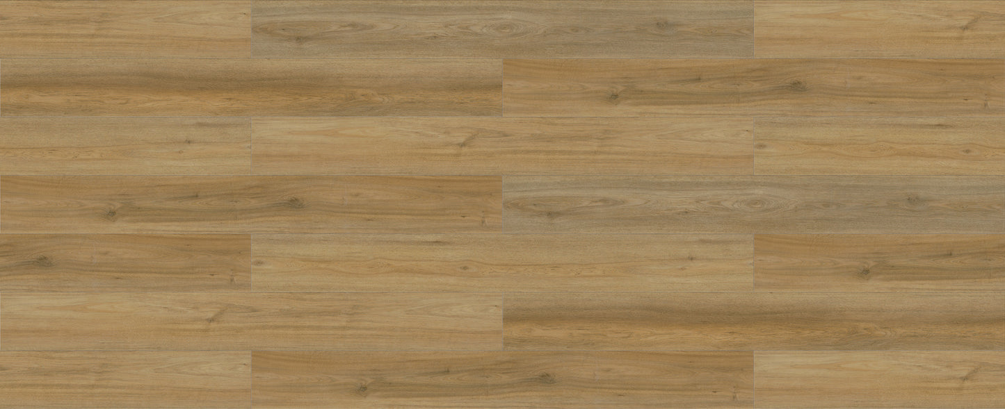 SFC-131 Spotted Gum